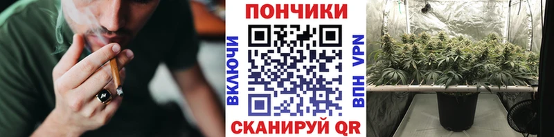 Купить наркотики цена Камешково APVP Меф Псилоцибиновые грибы COCAIN
