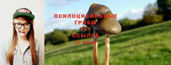 марки nbome Алзамай