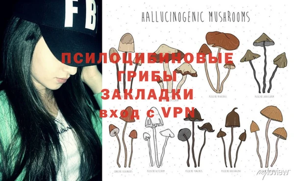 МДПВ Алексеевка