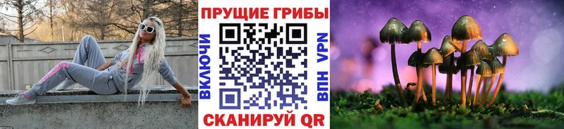 Галлюциногенные грибы Psilocybine cubensis  Камешково 